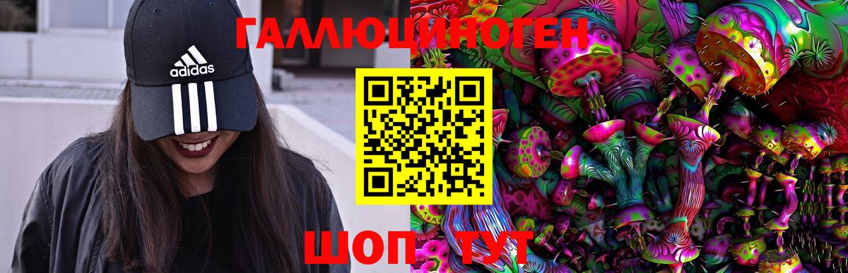 даркнет сайт  Галлюциногенные грибы Psilocybe  Вход с VPN  Гай 