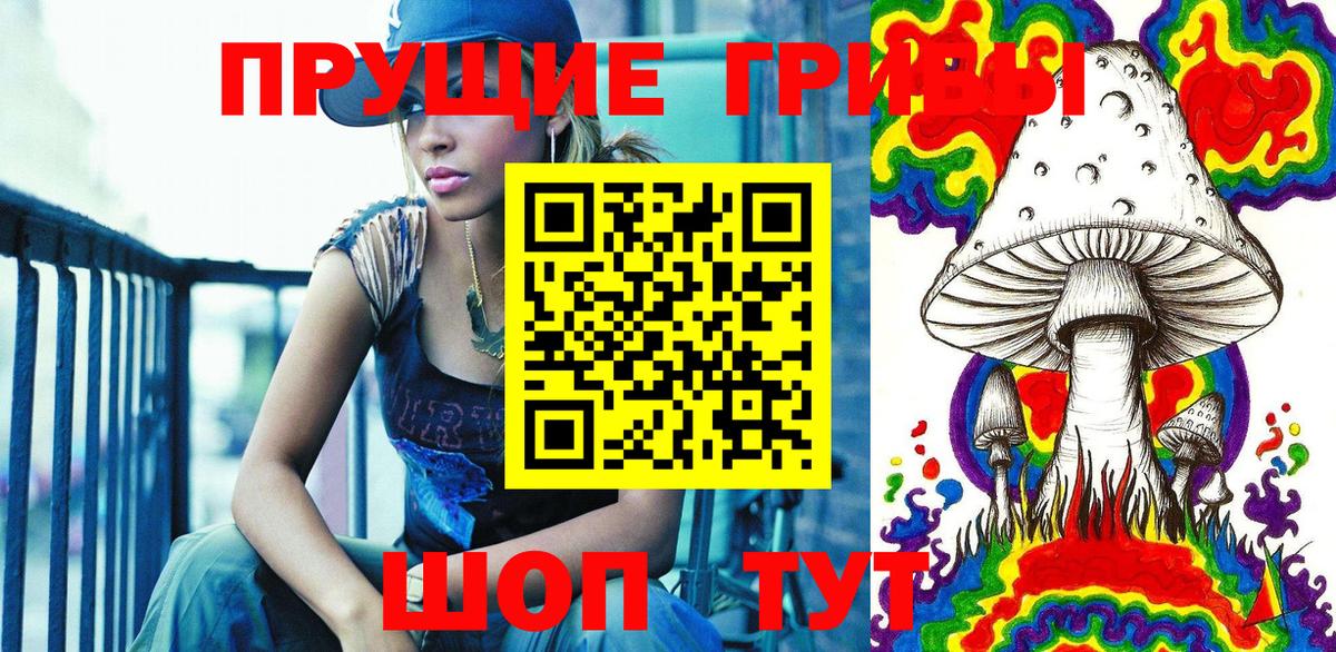 Псилоцибиновые грибы мицелий Гай