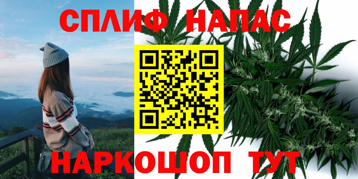 Бошки Шишки марихуана Гай